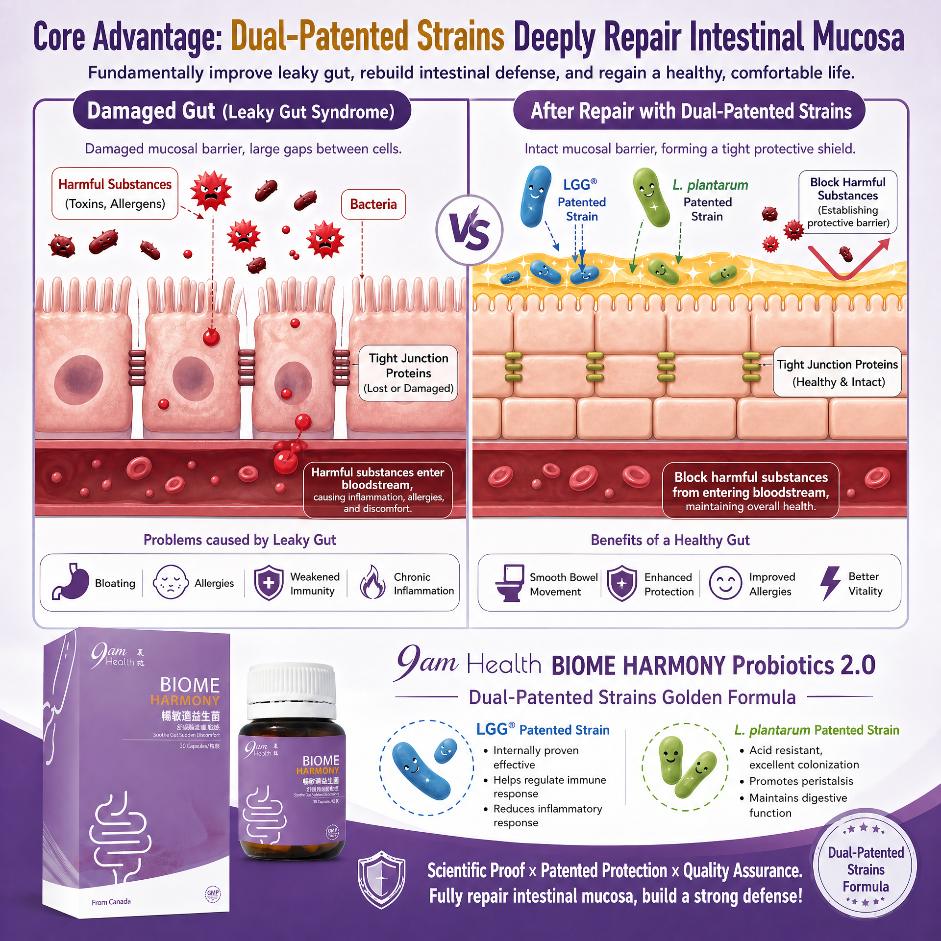 9am Health Probiotics Repair Mechanism