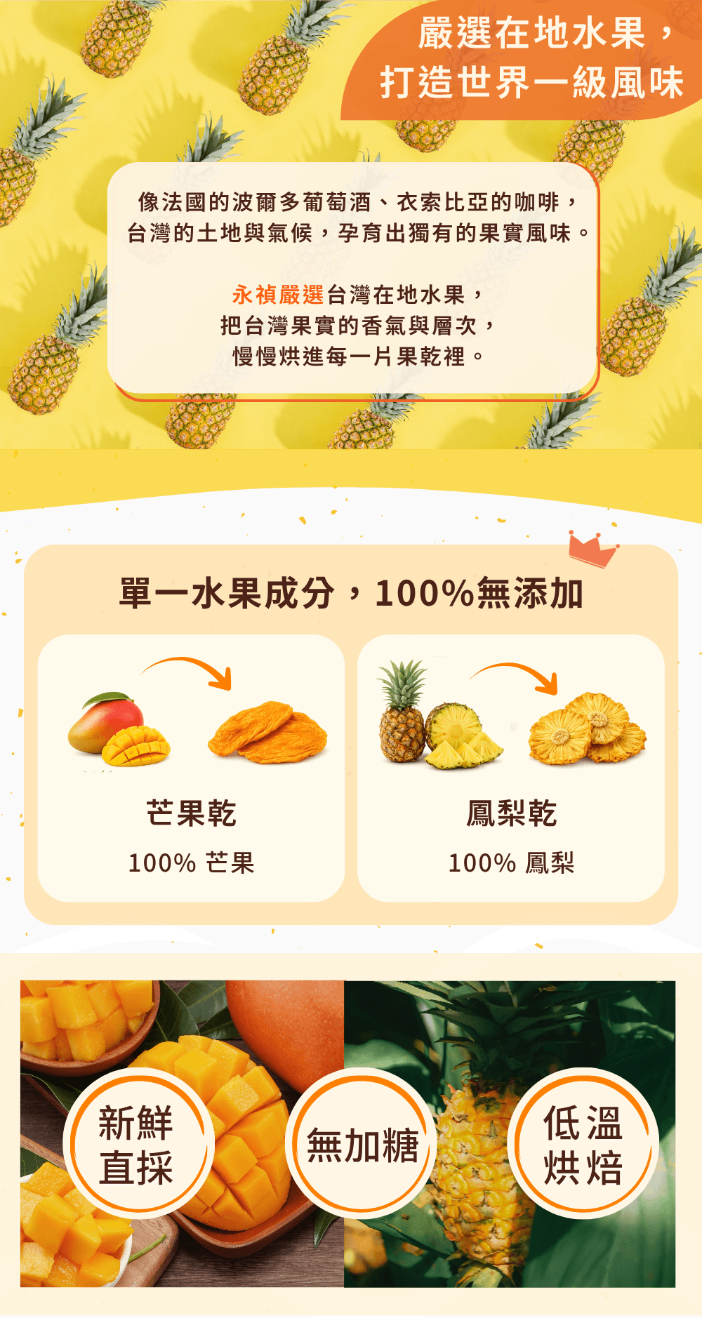 永禎果乾ONLY系列 只有一種成分
