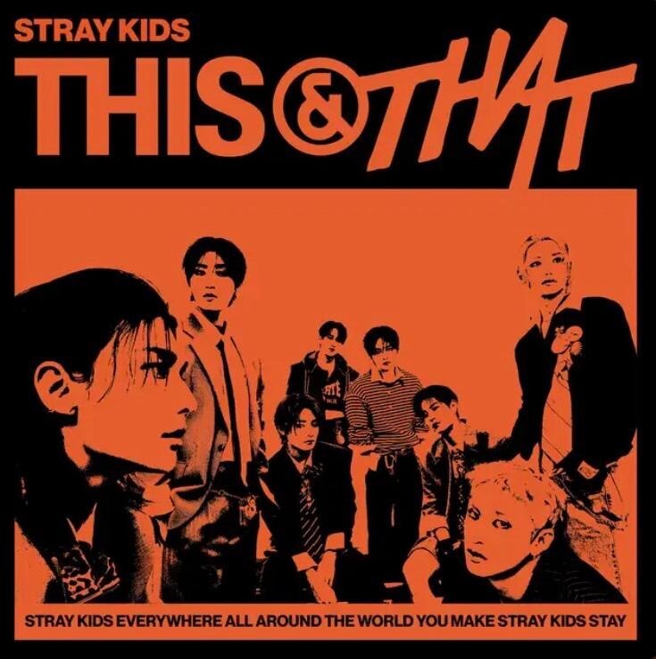 Stray Kids ~ THIS THAT