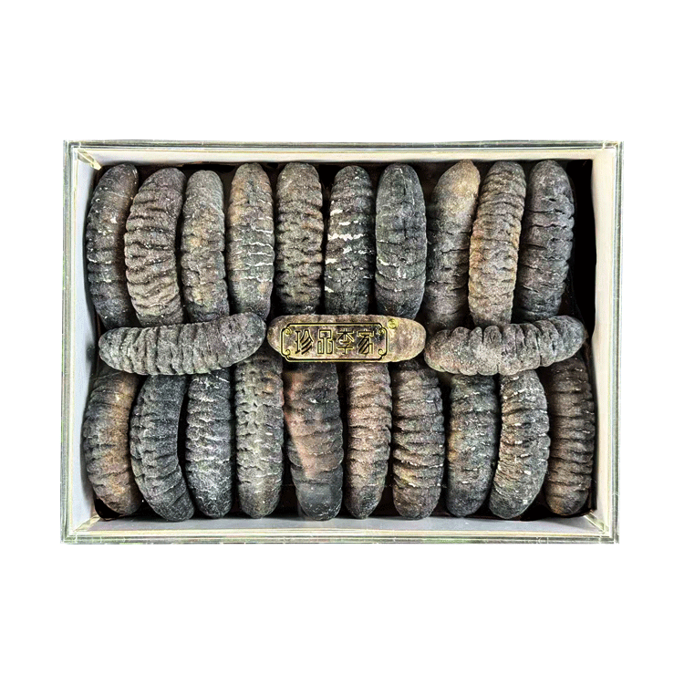 澳洲禿參300g（18-22頭）