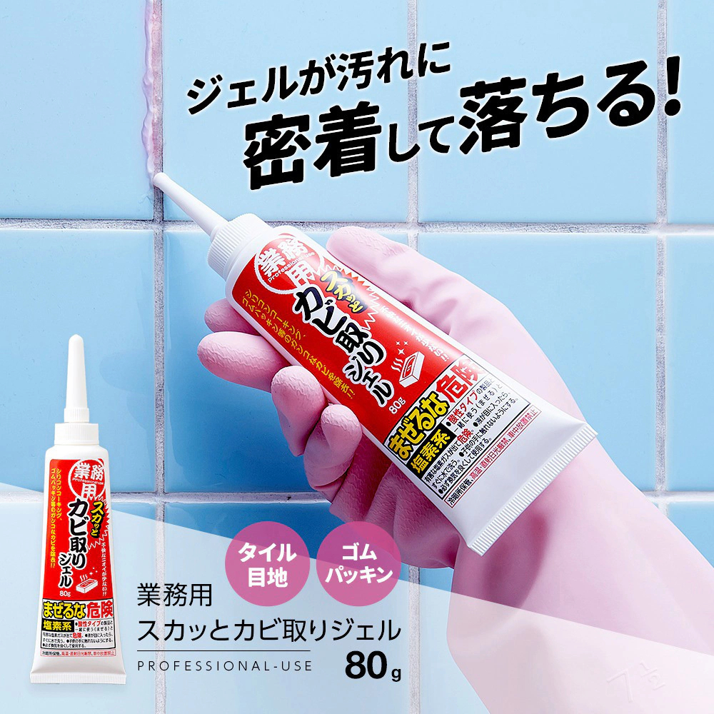 【多莉推薦】JP AIMEDIA 專業除霉啫哩 80g 9113 TK260808