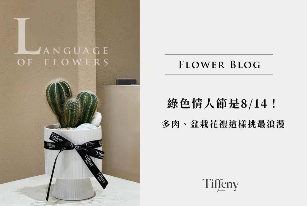 綠色情人節 多肉植物 盆栽花禮 台中花店