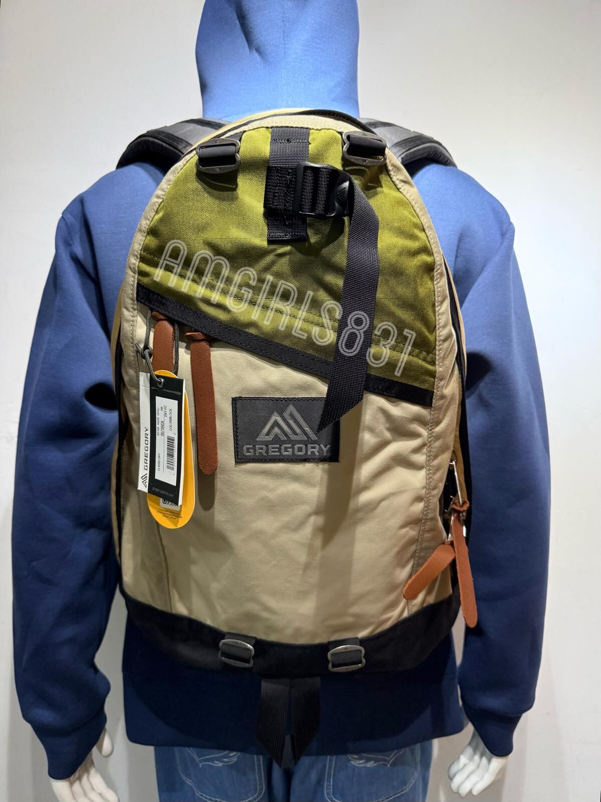 Gregory day pack colorblock