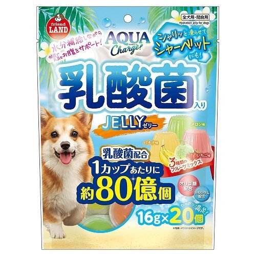 日本MARUKEN 乳酸菌果凍 16克 x 20枚入【$100 X 4 包】【可混合其他口味】