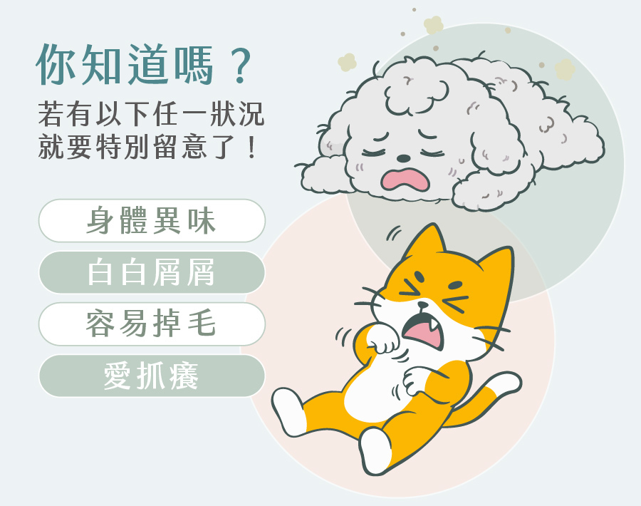洗了抓癢當正常？別拿毛孩皮膚做實驗！  你挑的洗毛乳，不該只有清潔作用！