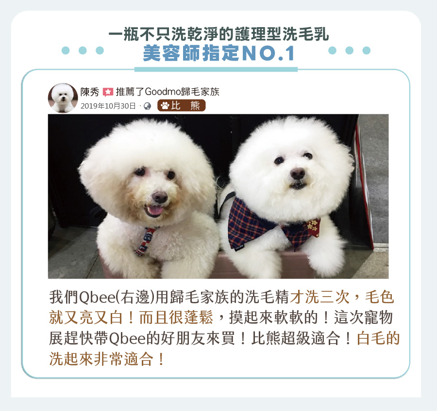 歸毛家族美容師指定第一護理型洗毛乳，幫助白毛寵物毛色亮白、蓬鬆柔軟，獲比熊犬飼主強力推薦。