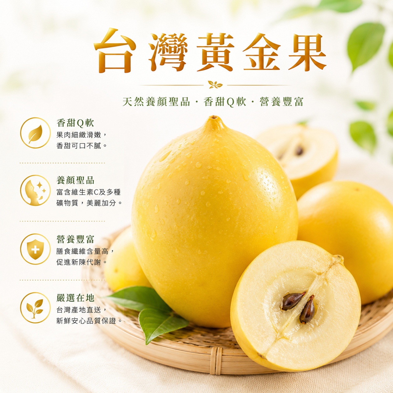 台灣黃金果(1個)