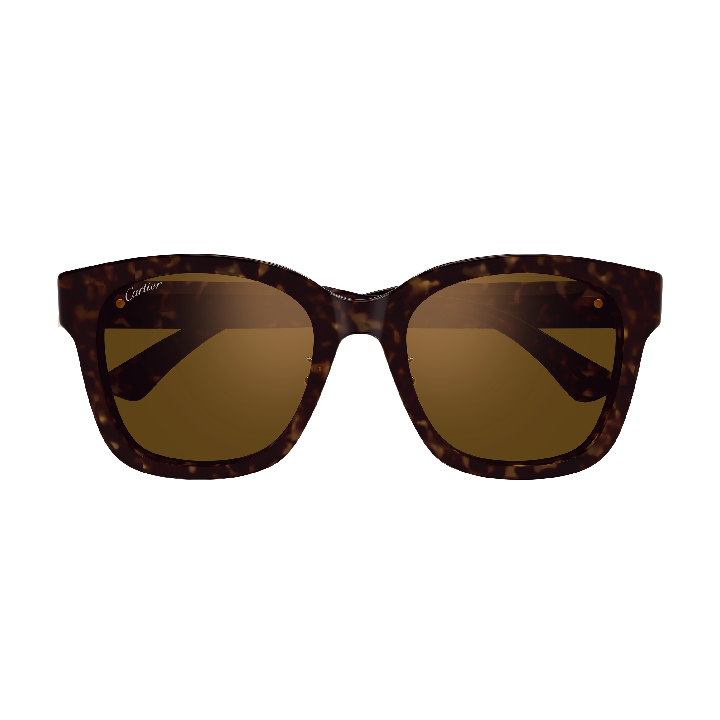 Cartier - CT0589SA／002