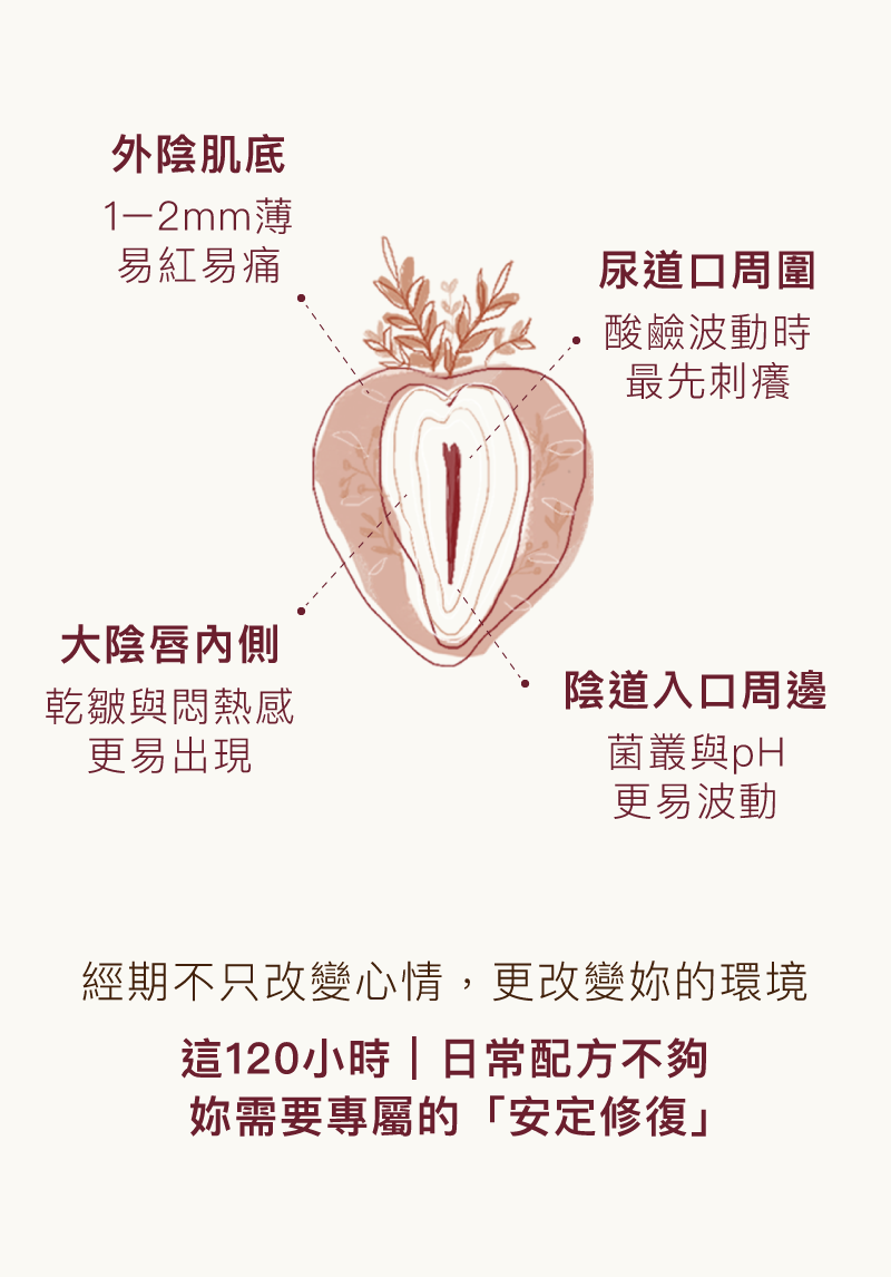 Love Dear 0號⁺私膚沐浴露透過精緻手繪圖解剖析外陰與大陰唇等脆弱區域，強調經期專屬的安定修復力，給予私密肌最溫和的清潔體驗。