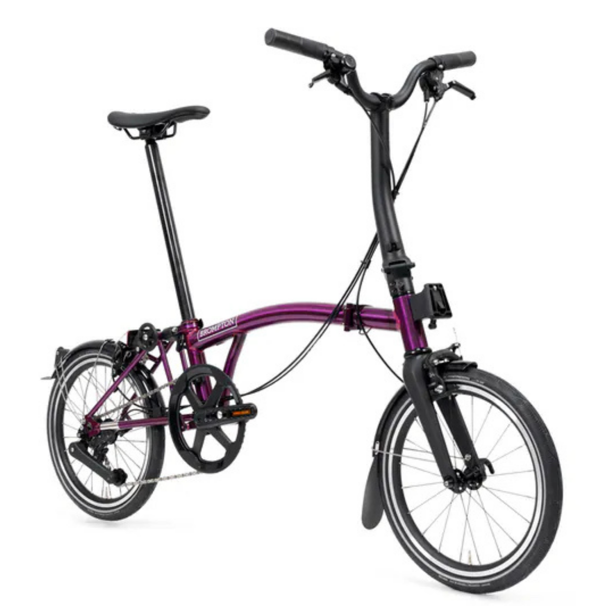 【Brompton】Brompton P Line   /  紫清漆
