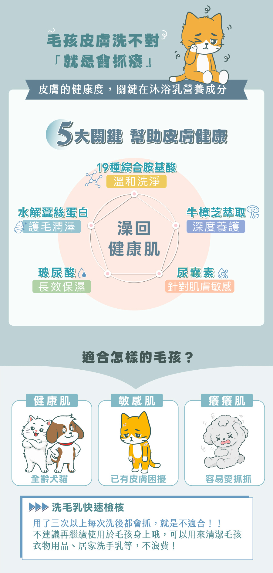 解決毛孩抓癢問題,歸毛家族舒敏洗毛乳含胺基酸、牛樟芝、玻尿酸、尿囊素與蠶絲蛋白等5大澡回健康肌成分。
