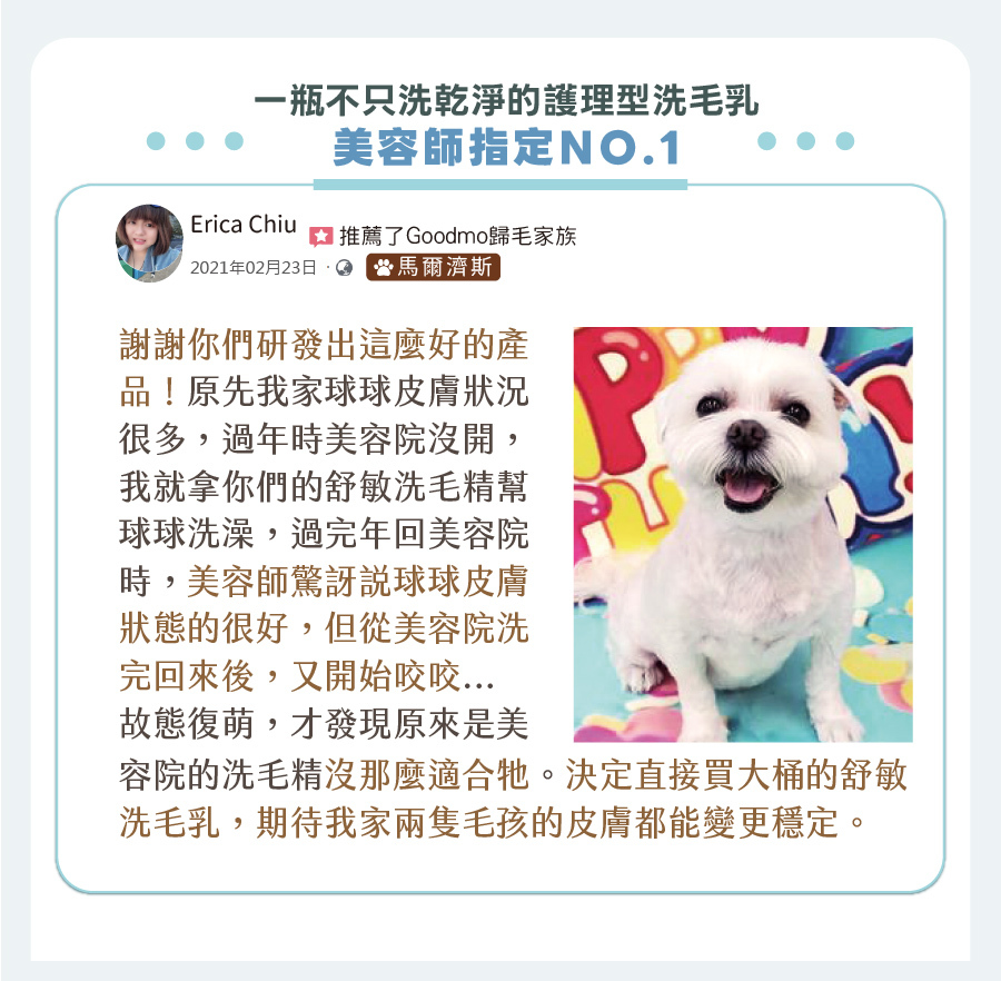 馬爾濟斯飼主好評推薦歸毛家族舒敏洗毛精,有效改善皮膚咬咬問題,連寵物美容師也讚賞,決定直接購入大桶裝。