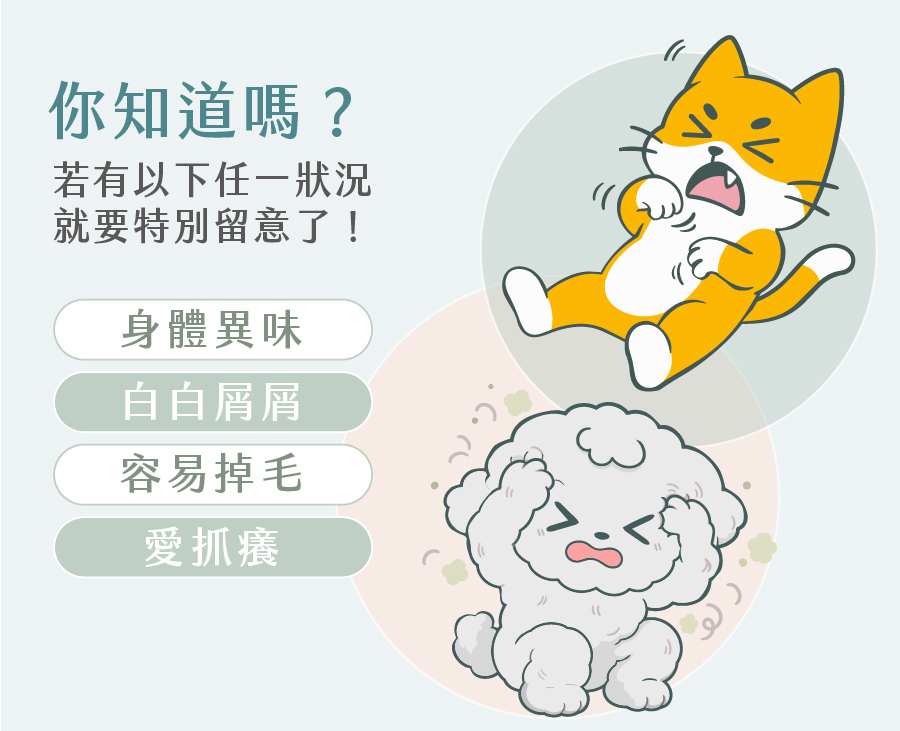 寵物困擾,提醒家長若毛孩有身體異味、白白屑屑、容易掉毛或愛抓癢等狀況,需特別留意肌膚健康。