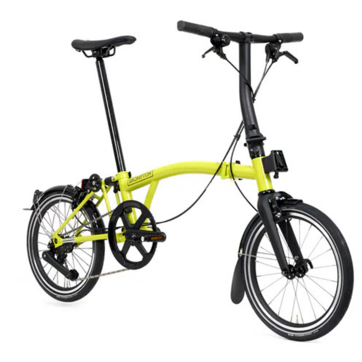 【Brompton】Brompton P Line   /  楊桃金