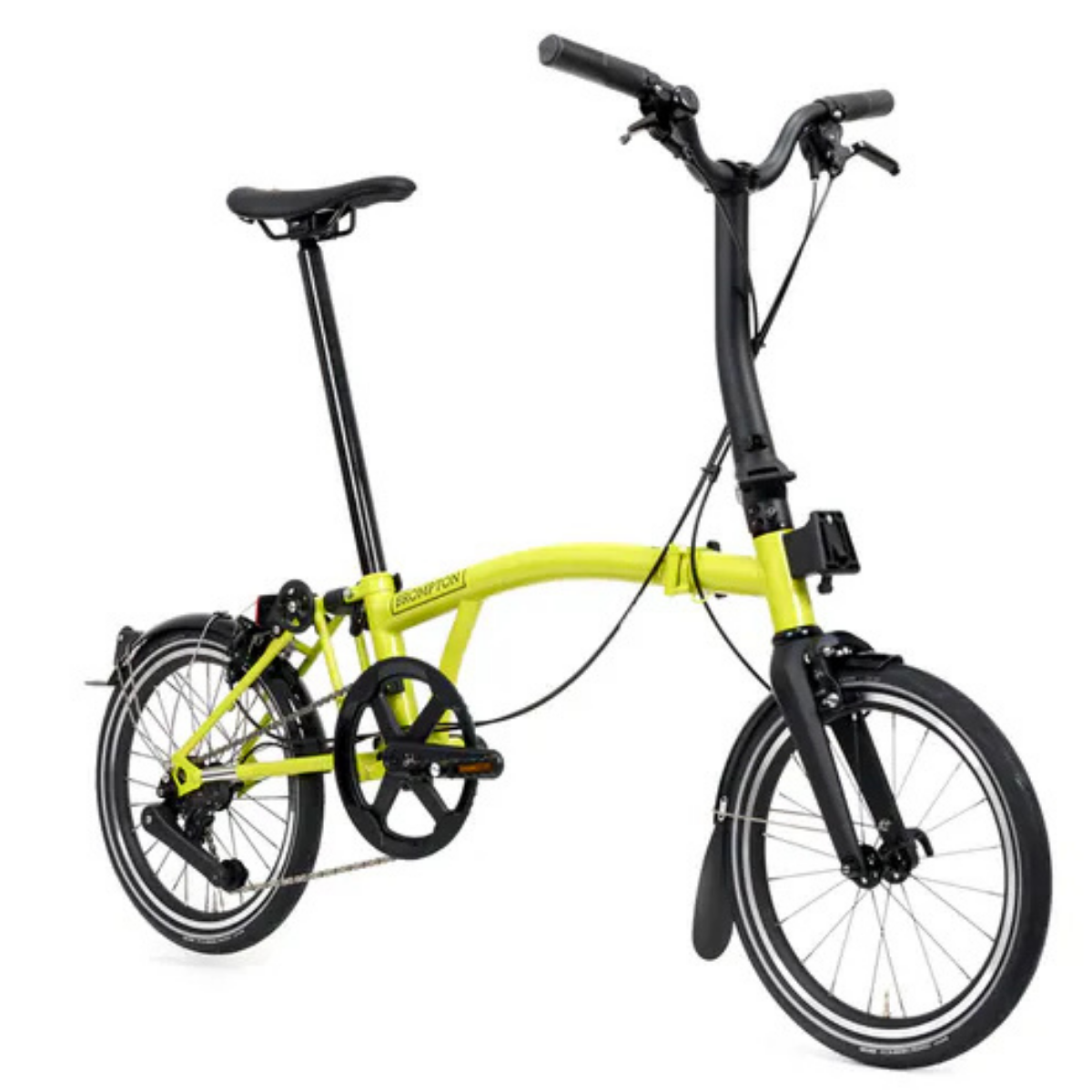 【Brompton】Brompton P Line   /  楊桃金