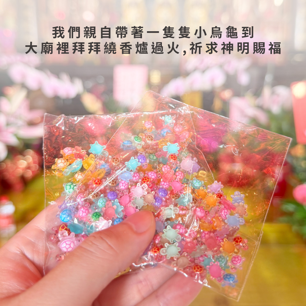 立體轉運小烏龜