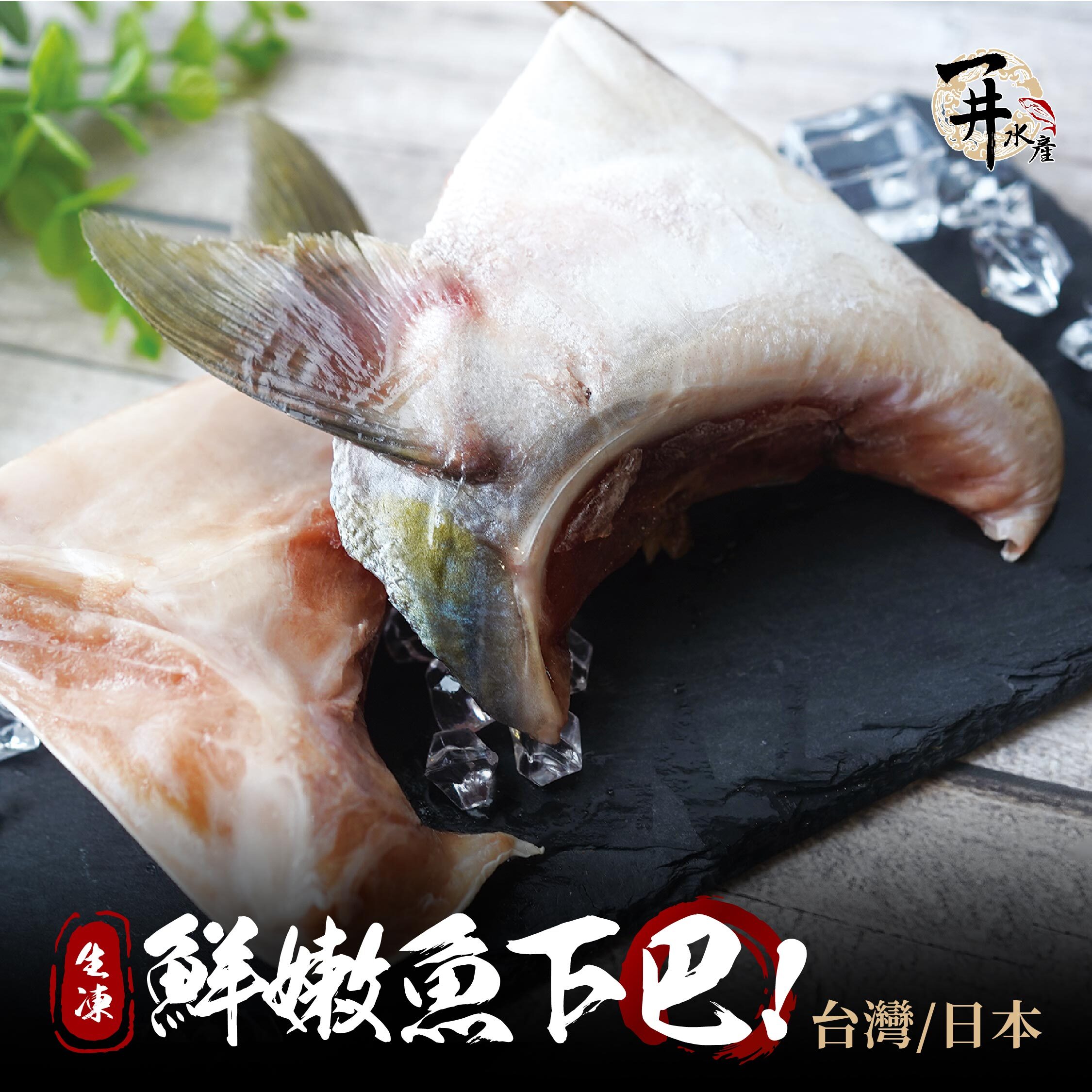 日本・台灣嚴選魚下巴系列｜一夜干・青甘・白甘・海鱺・紅甘