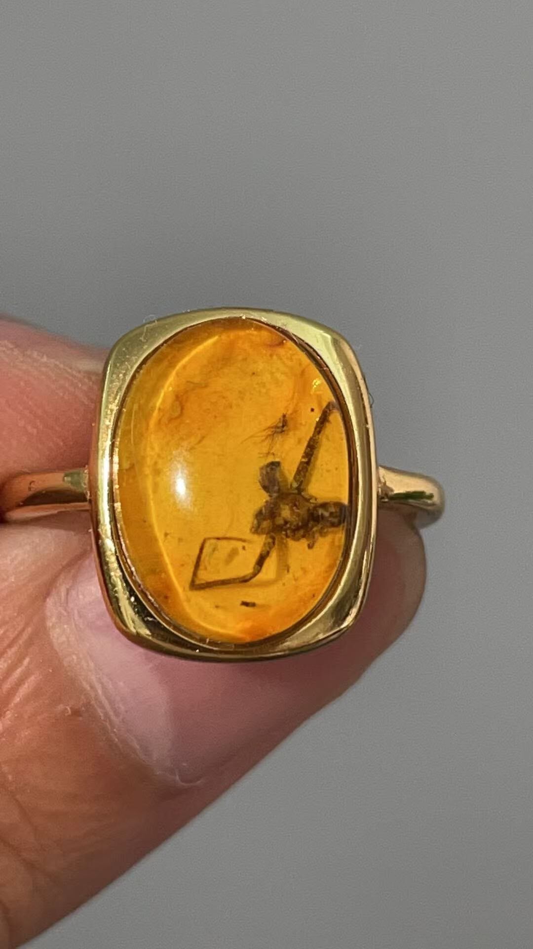 0810BA34-BALTICAMBER-RING-菠蘿的海回流老蟲珀戒指（A34）
