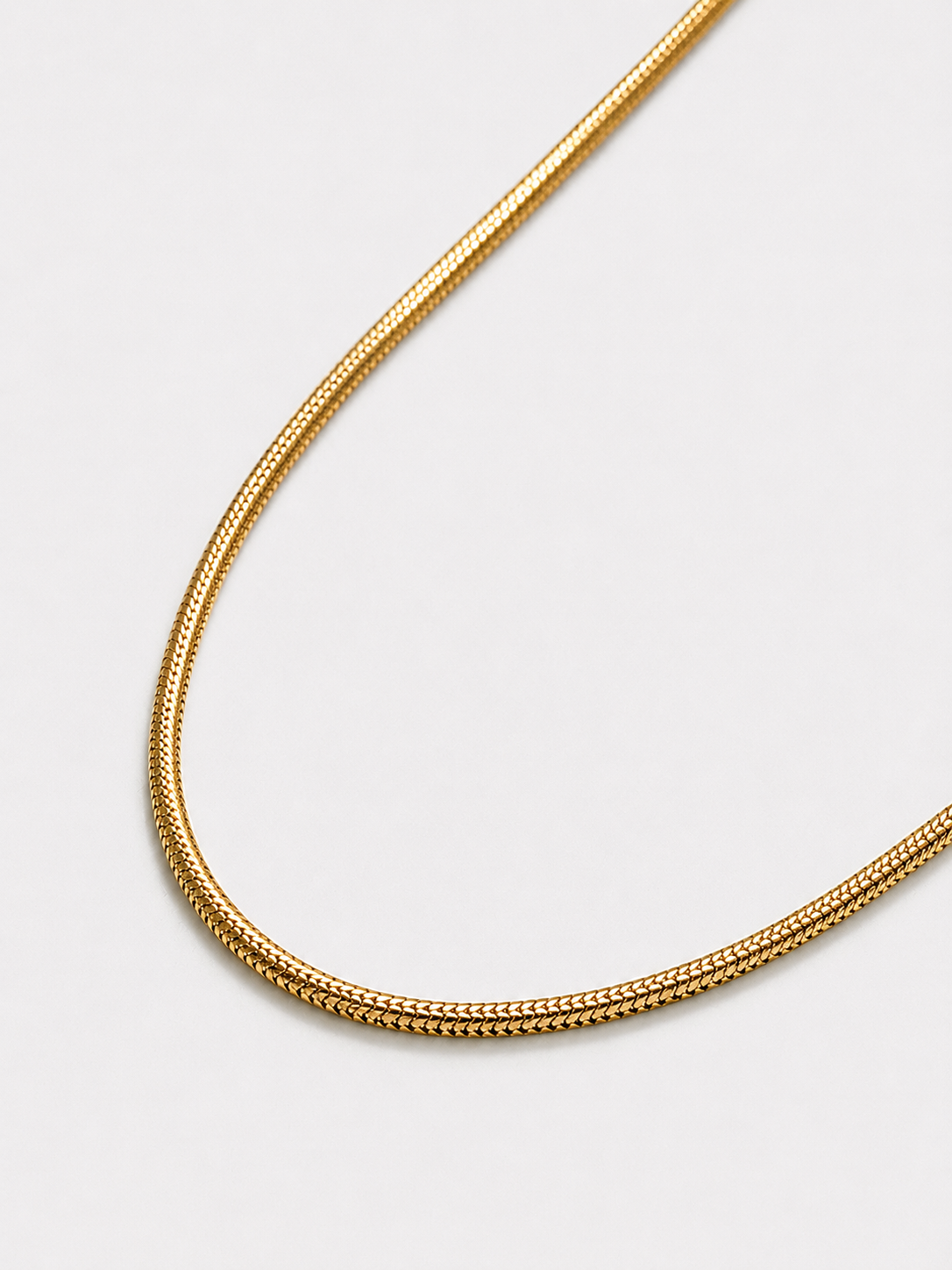 Fine Chain Snake Bone Necklace