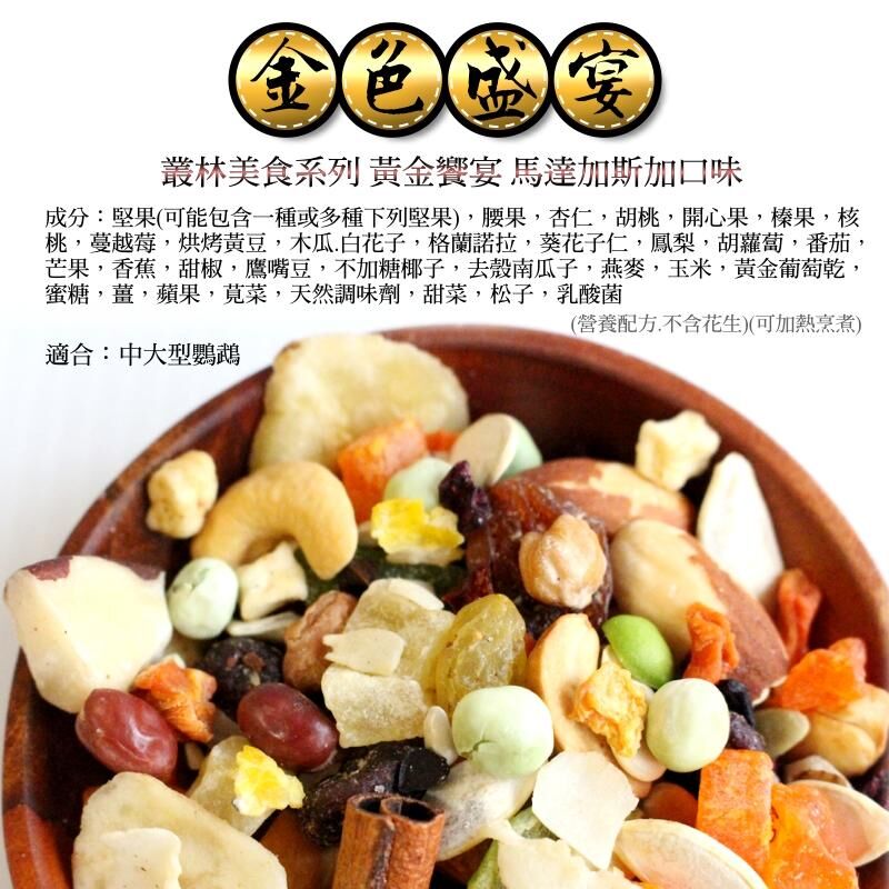 金色盛宴 凡賽爾 馬達加斯加(原裝3LB) 中大型 波力鸚鵡玩具生活館 全新上市