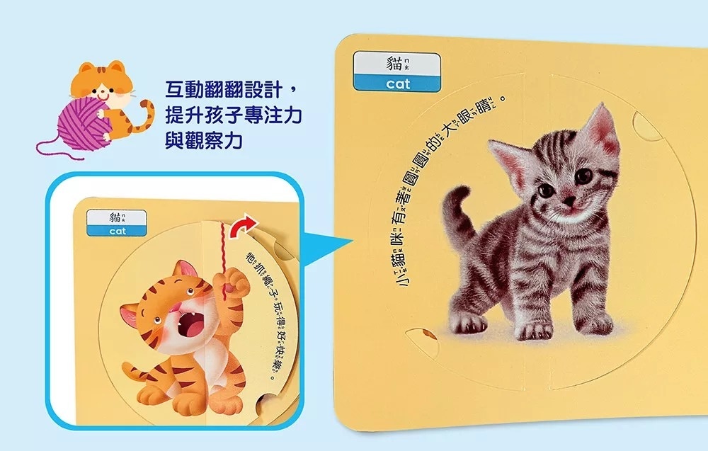 圓形書【動物星球】