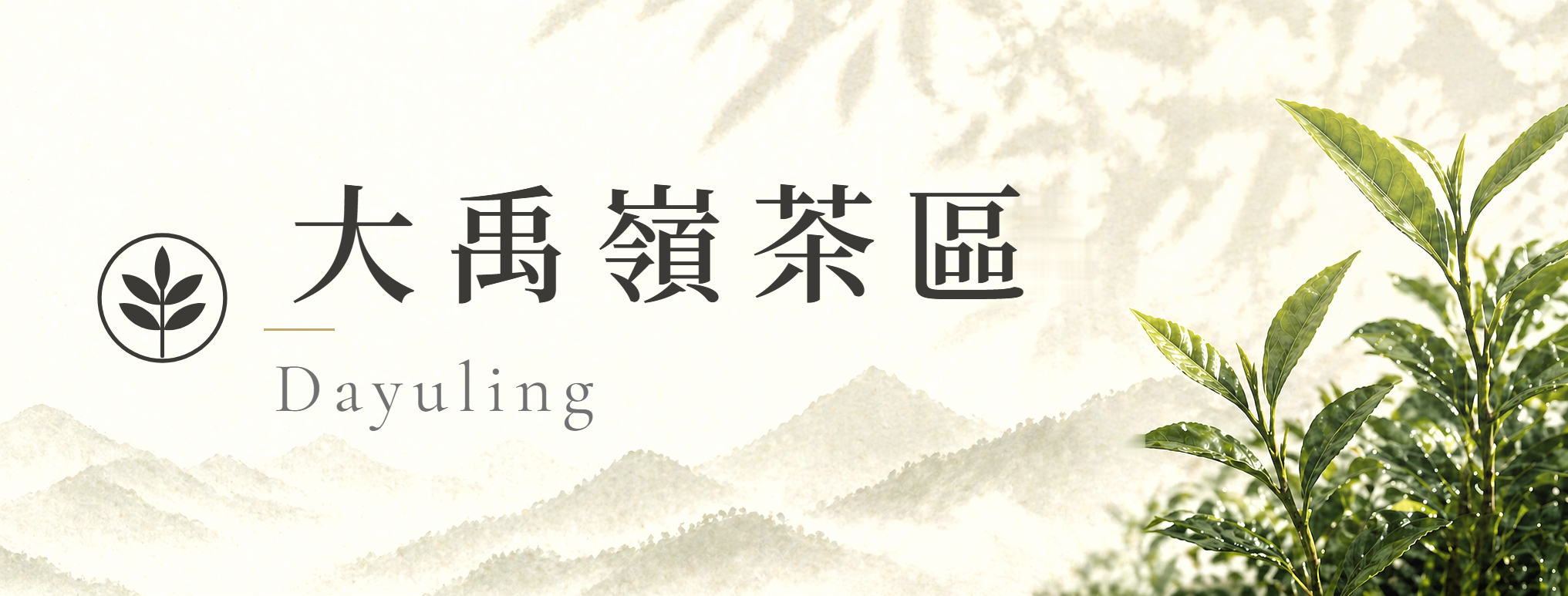 大禹嶺茶葉｜2,500m 台灣最高海拔大禹嶺高冷茶｜天下第一好茶