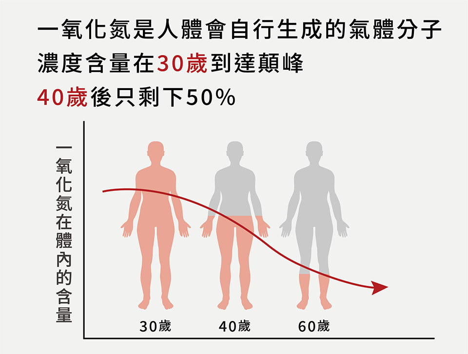 認識一氧化氮
