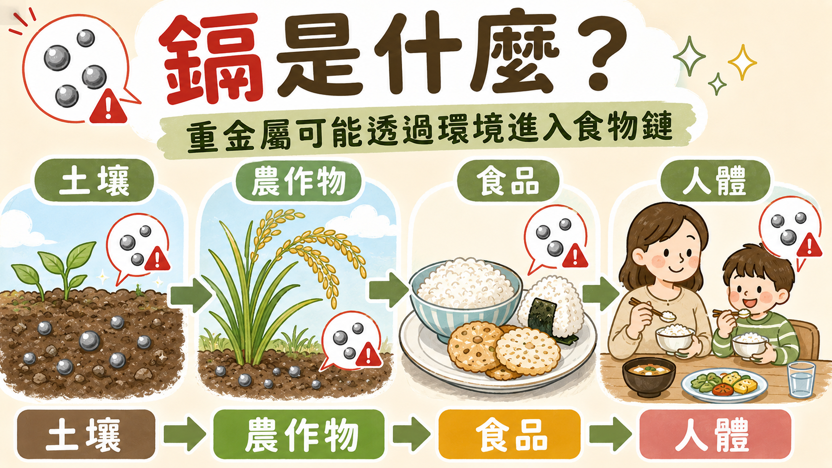 鎘進入食品鏈示意圖