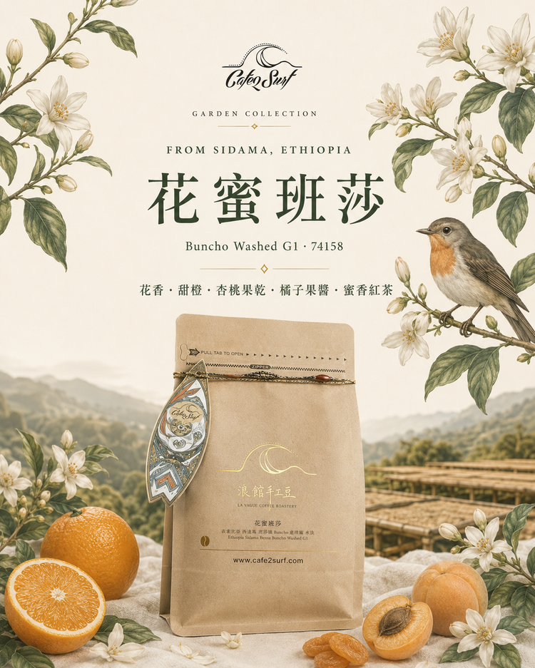 Floral Honey Bensa｜Ethiopia Sidama Bensa Buncho Washed G1｜Coffee Beans 227g