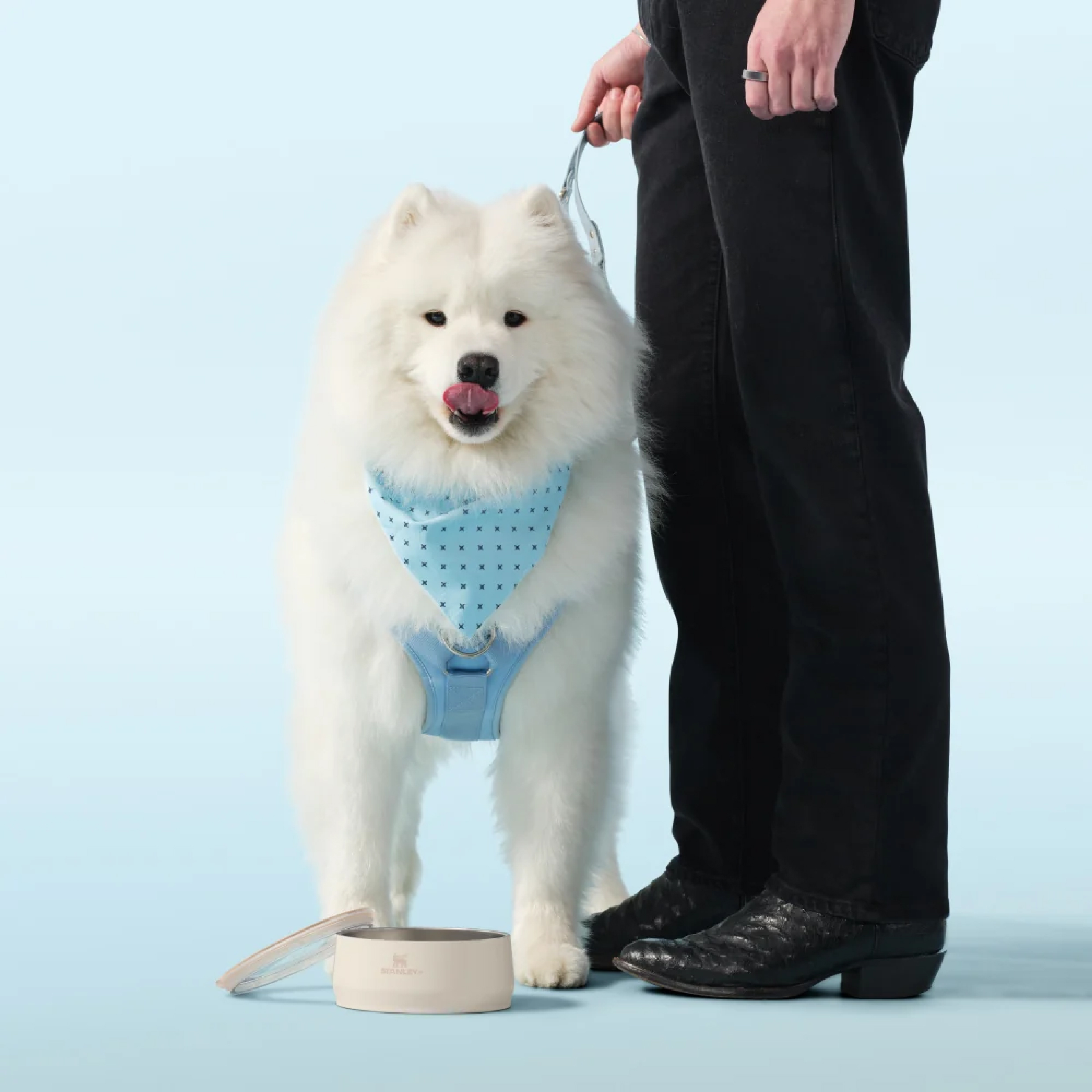 STANLEY Pet Bowl / 0.7L 寵物碗