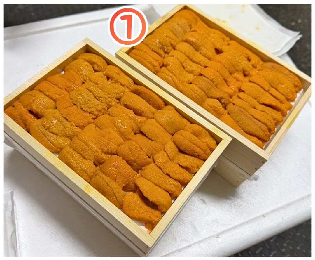 大連 (養殖) 馬糞海膽
