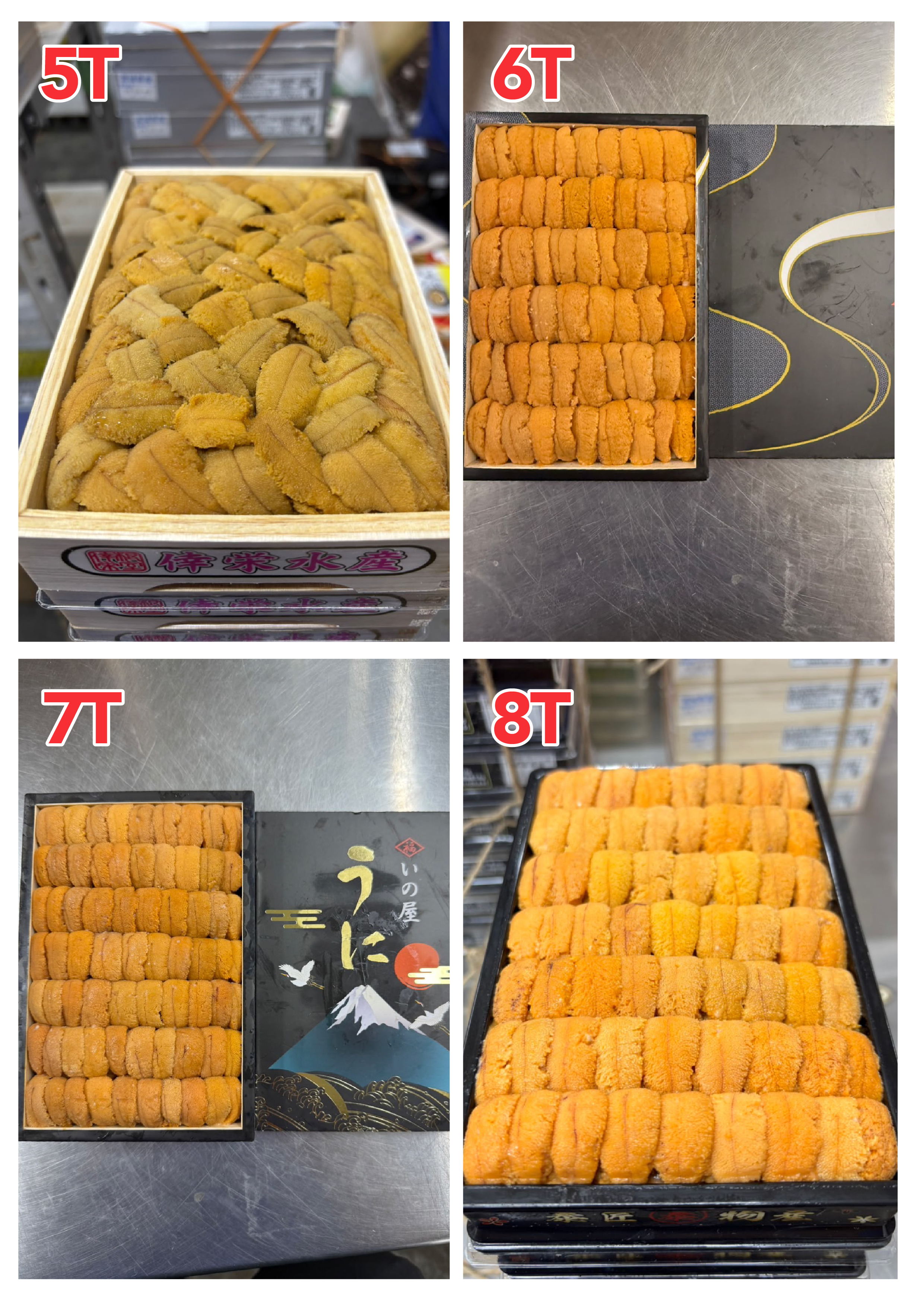 【指定海膽推薦】每天更新 (限即日落單, 翌日送)