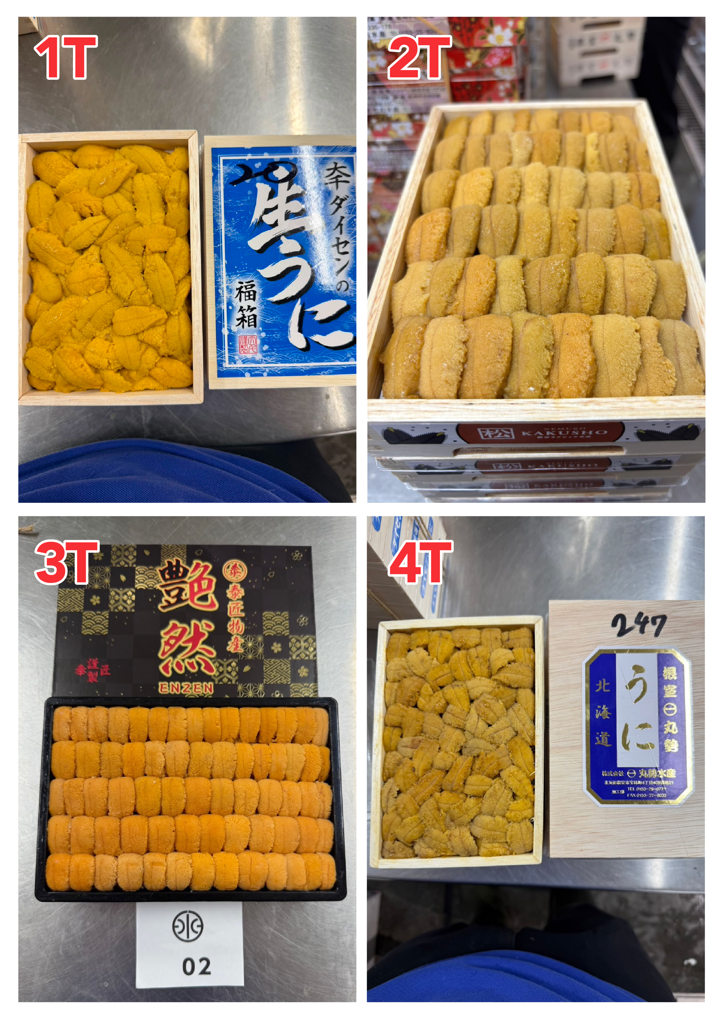 【指定海膽推薦】每天更新 (限即日落單, 翌日送)