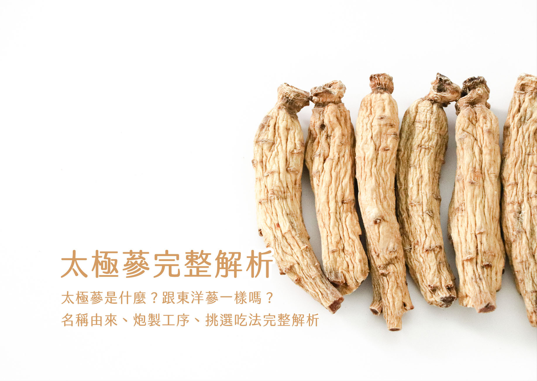 太極蔘條細節近照