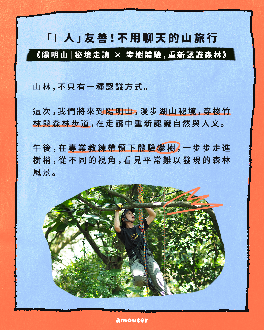 i 人友善！不用聊天的山旅行【陽明山｜秘境走讀 × 攀樹體驗，重新認識森林】