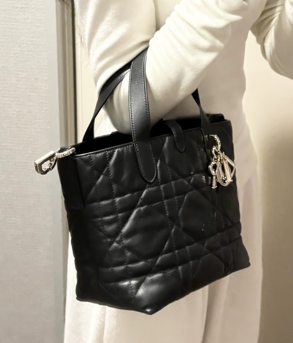 Dior Small Dior Toujours Vertical Tote Bag Black 手袋
