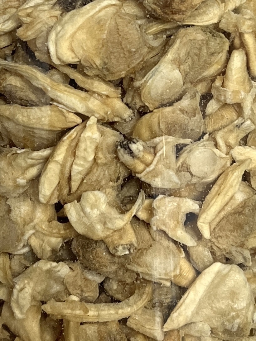Paws Park 越南花甲凍乾零食 60g（貓狗食用）