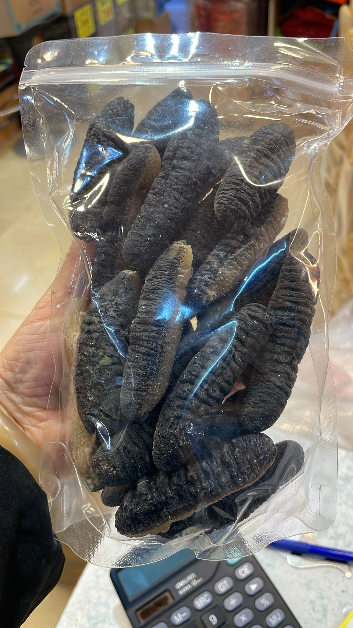 (T1)(包發)(供應商直接到付寄出)澳洲禿參 ~26條(一斤)(包發)- 海味直播 #2008hj