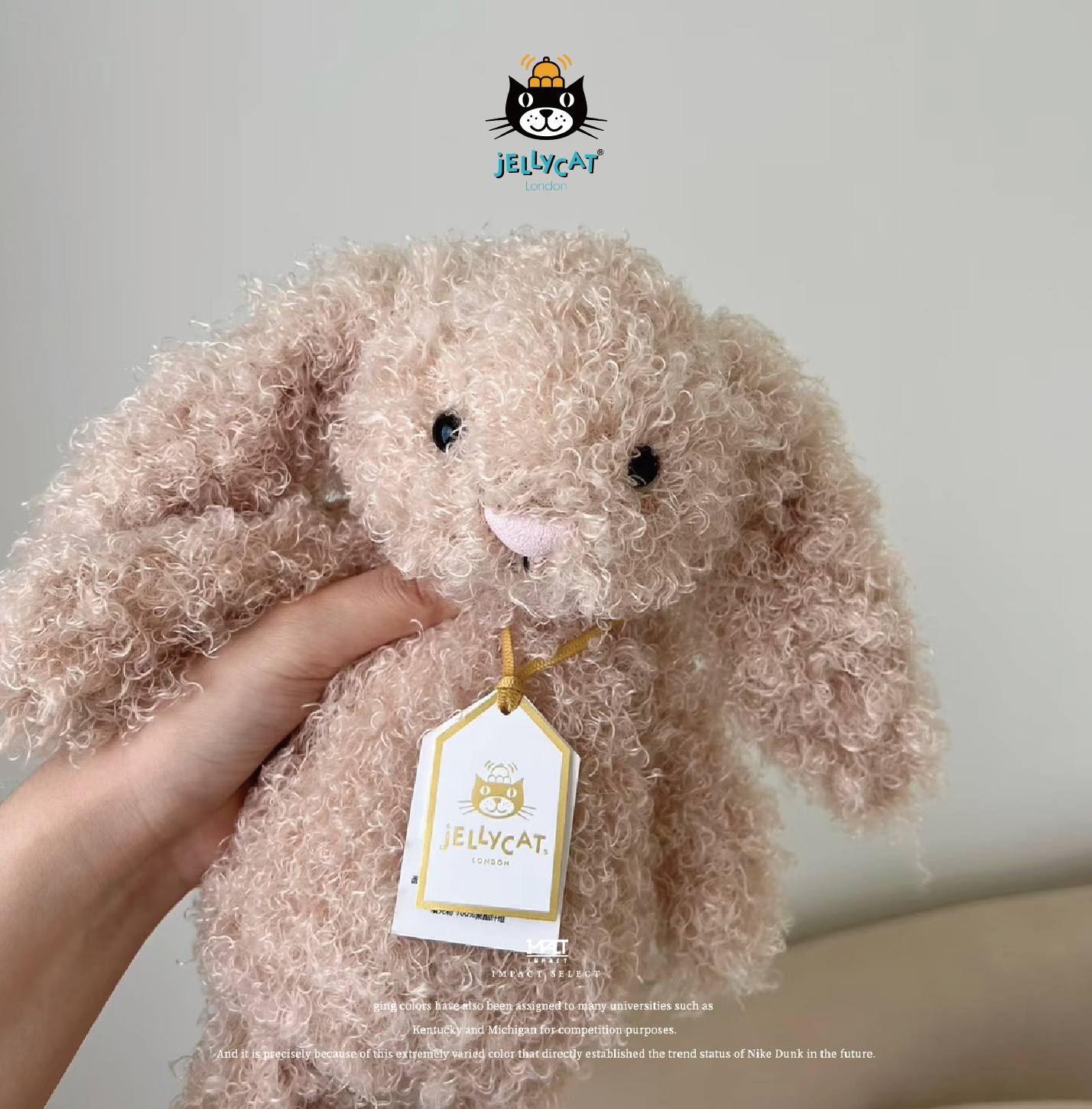 Jellycat 金標 奢華致臻系列 害羞小兔 捲毛款