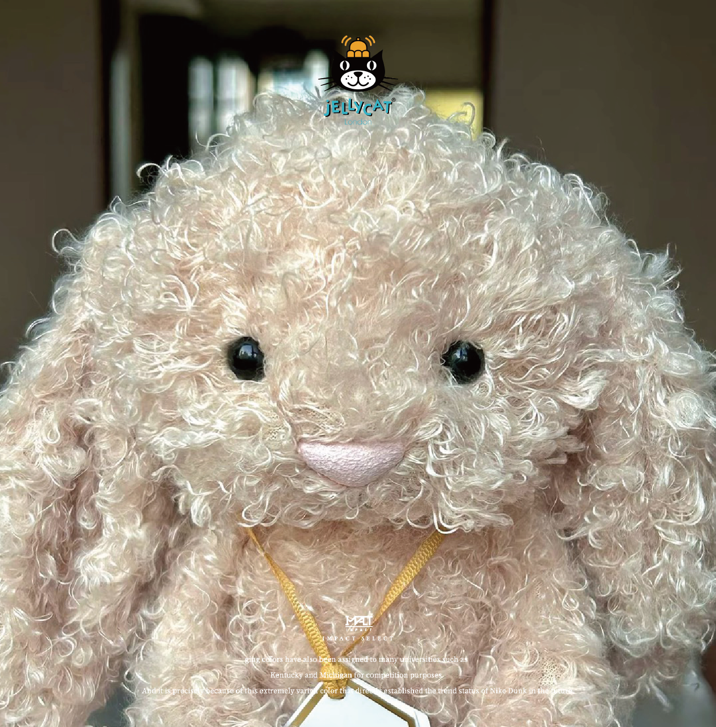 Jellycat 金標 奢華致臻系列 害羞小兔 捲毛款