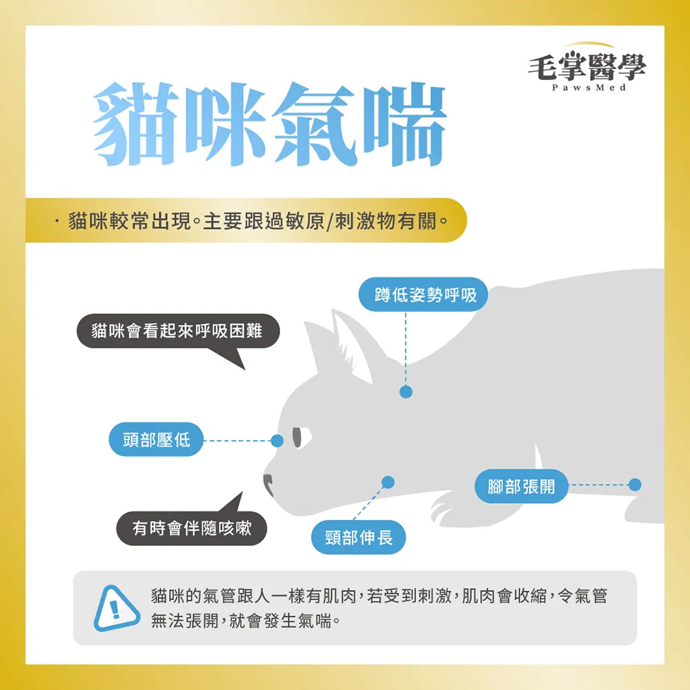 毛掌醫學 – 貓咪呼吸道氣管順暢保養粉 50g
