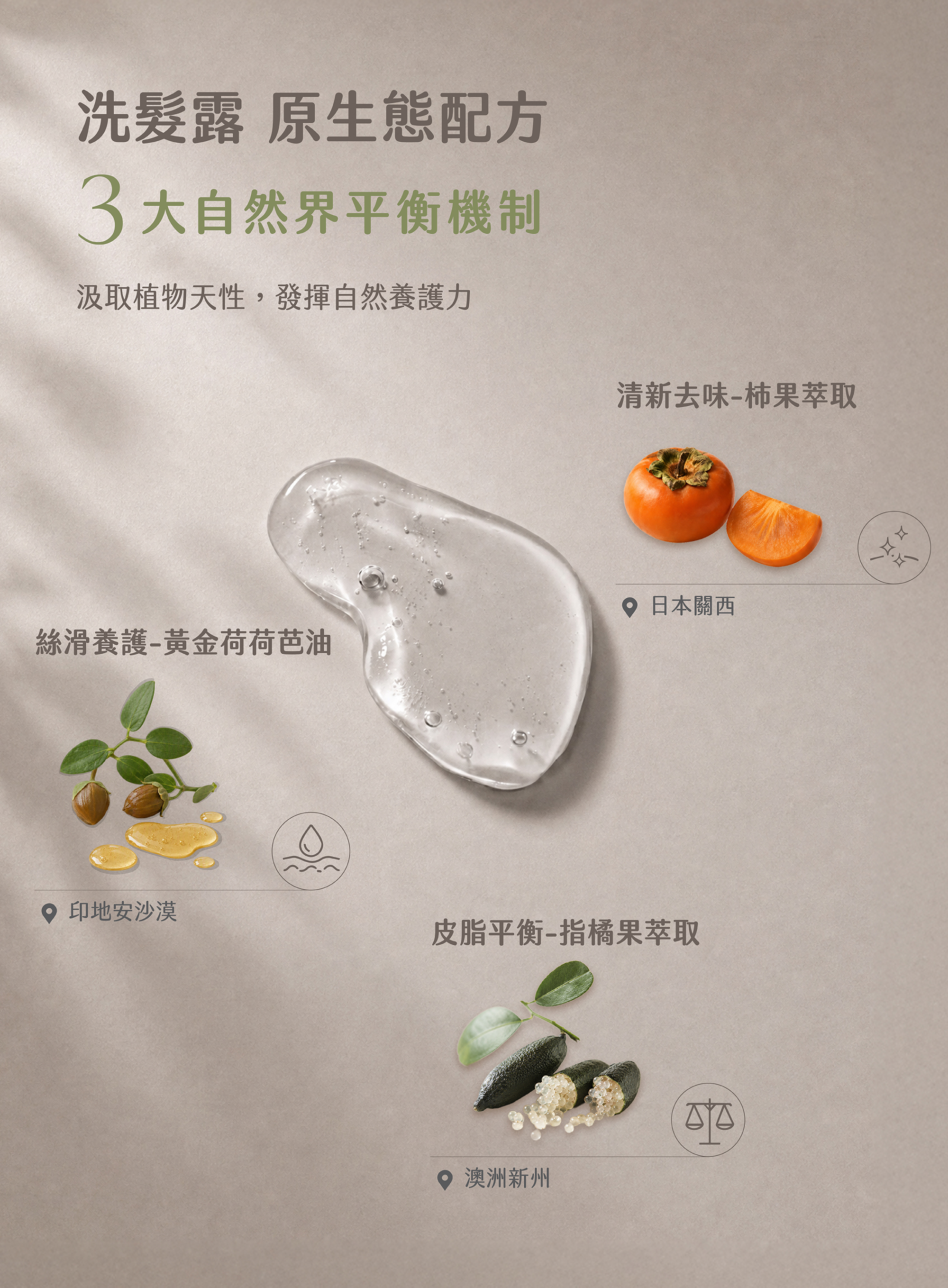 天然洗頭,有機洗髮精,平衡頭皮,頭皮保濕,頭髮護理,天然護髮,頭皮有味道,頭皮有油味,不流淚配方