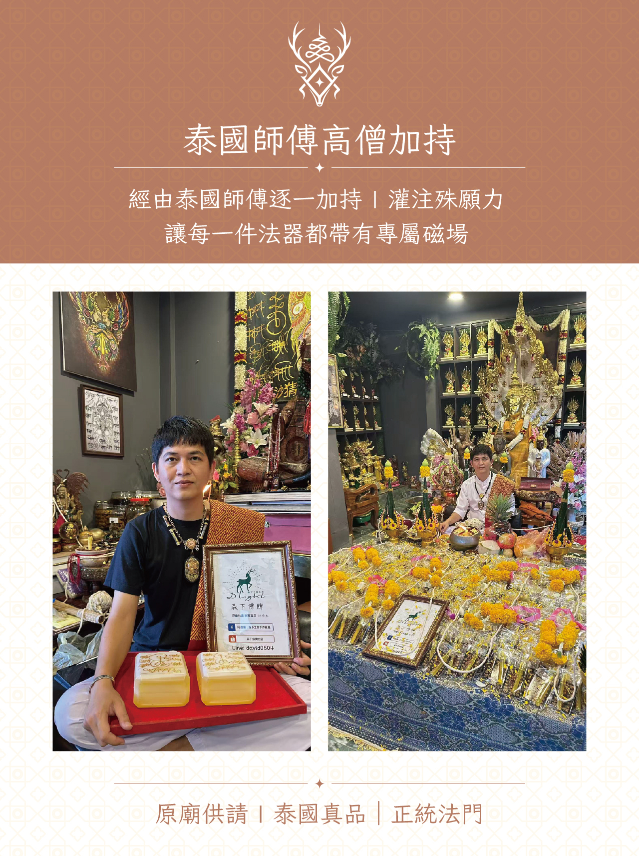 魅雅滿咒五鬼牌