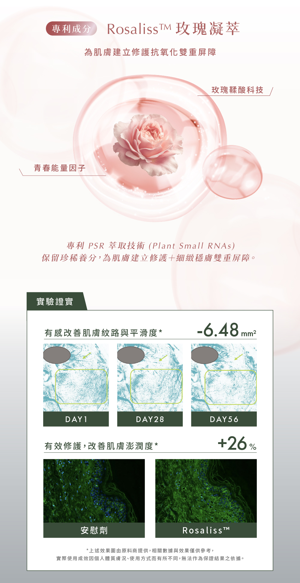 簡單 JAN DAN 玫瑰青春露 玫瑰護膚科技 保濕精華水 日常補水保養