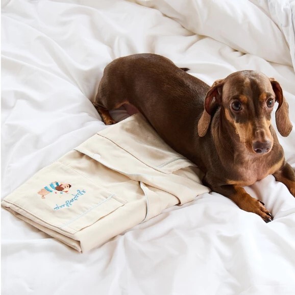 🇹🇭泰國連線 Sliptosleep 臘腸狗睡衣套裝 Dachshund Set