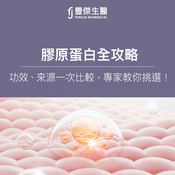膠原蛋白是什麼?補充方法、食物來源、種類與挑選指南