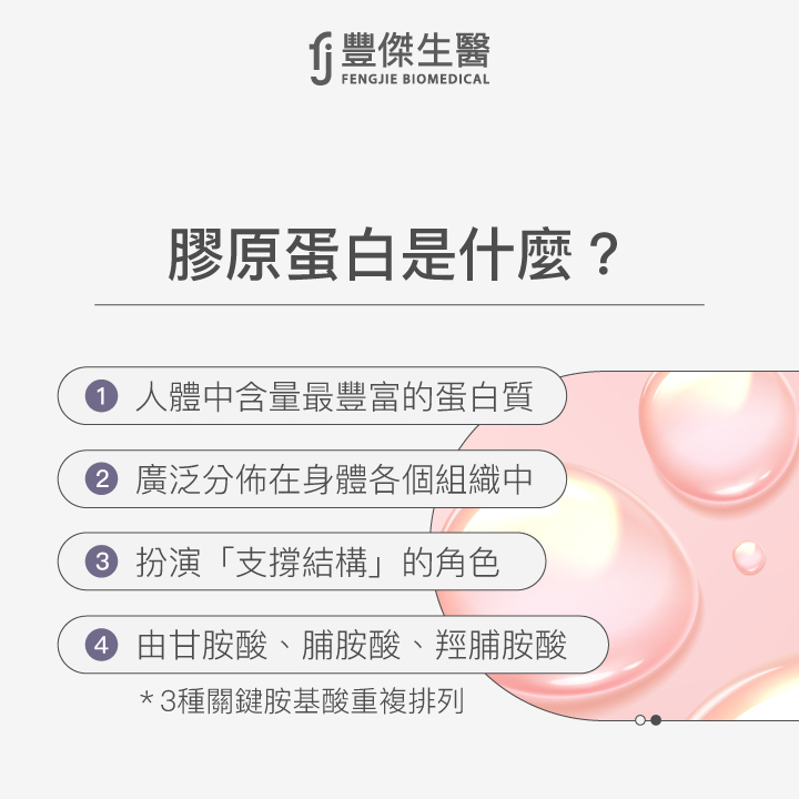 膠原蛋白是什麼?
