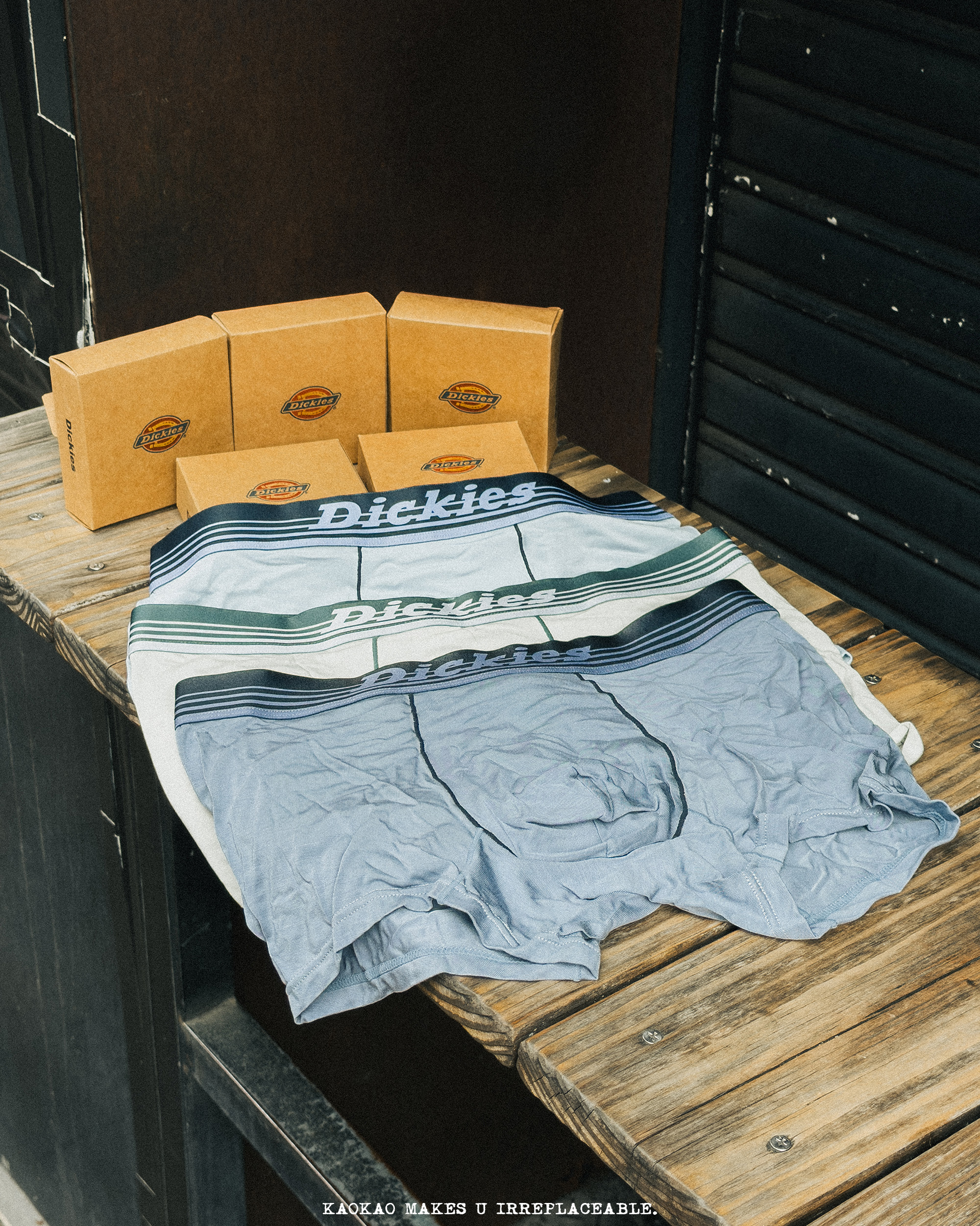 Dickies 莫代爾 吸濕排汗 高彈力 內褲 男款 D252MF294
