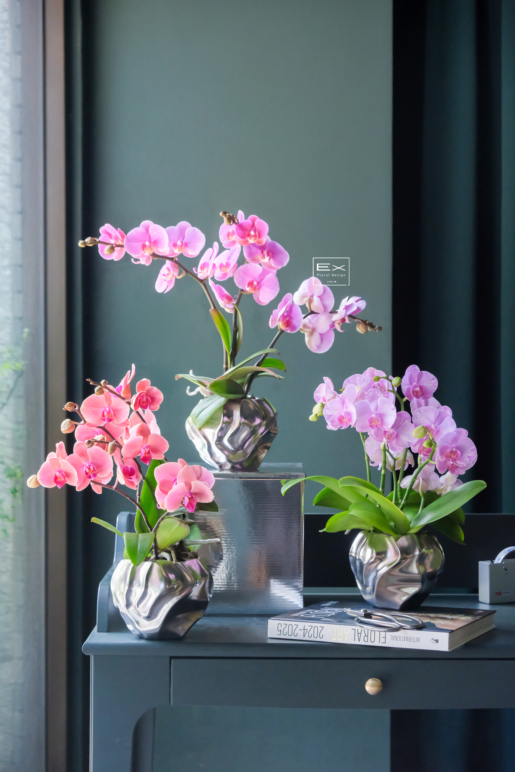 月之花 Maison de Lune｜精品 蝴蝶蘭花禮