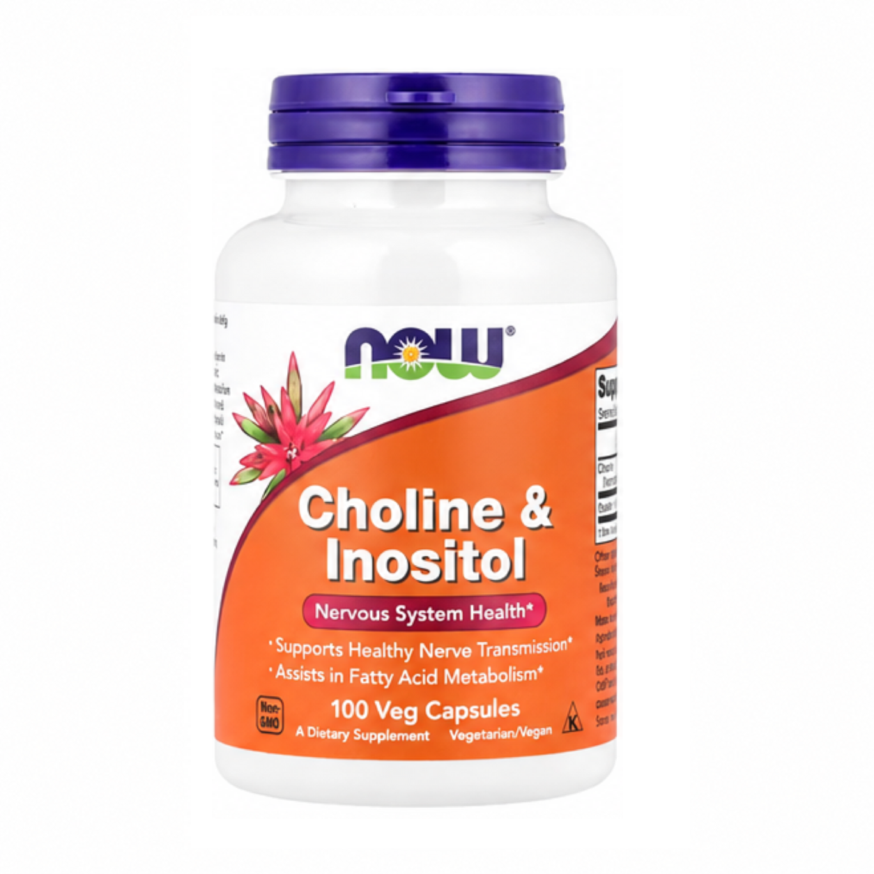 【iHerb】NOW Foods 膽鹼 肌醇 500mg 100粒 素食膠囊